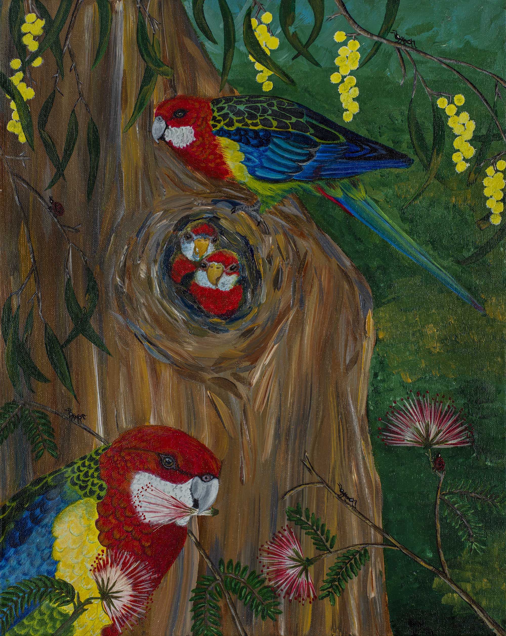 63. Eastern Rosella Family
