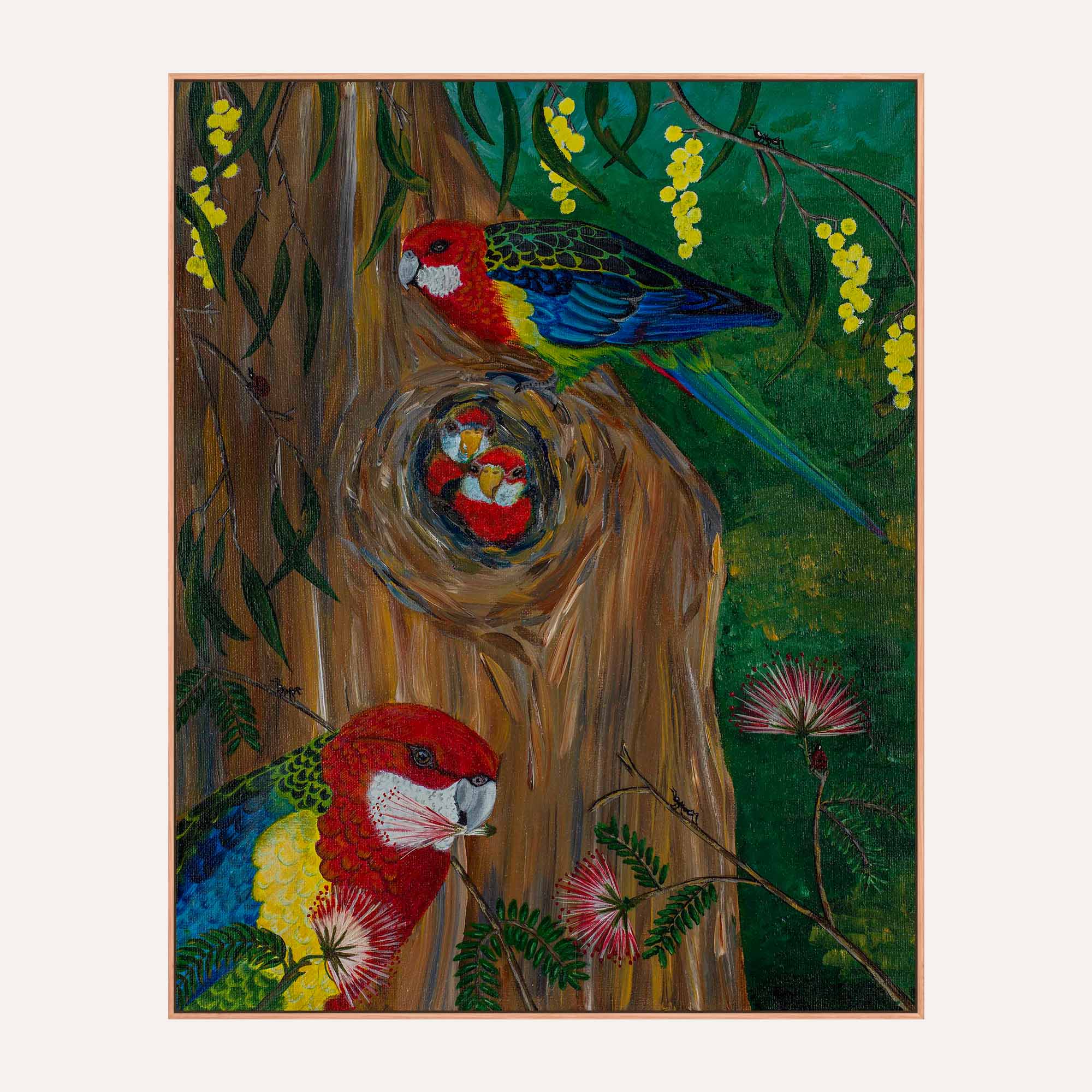63. Eastern Rosella Family